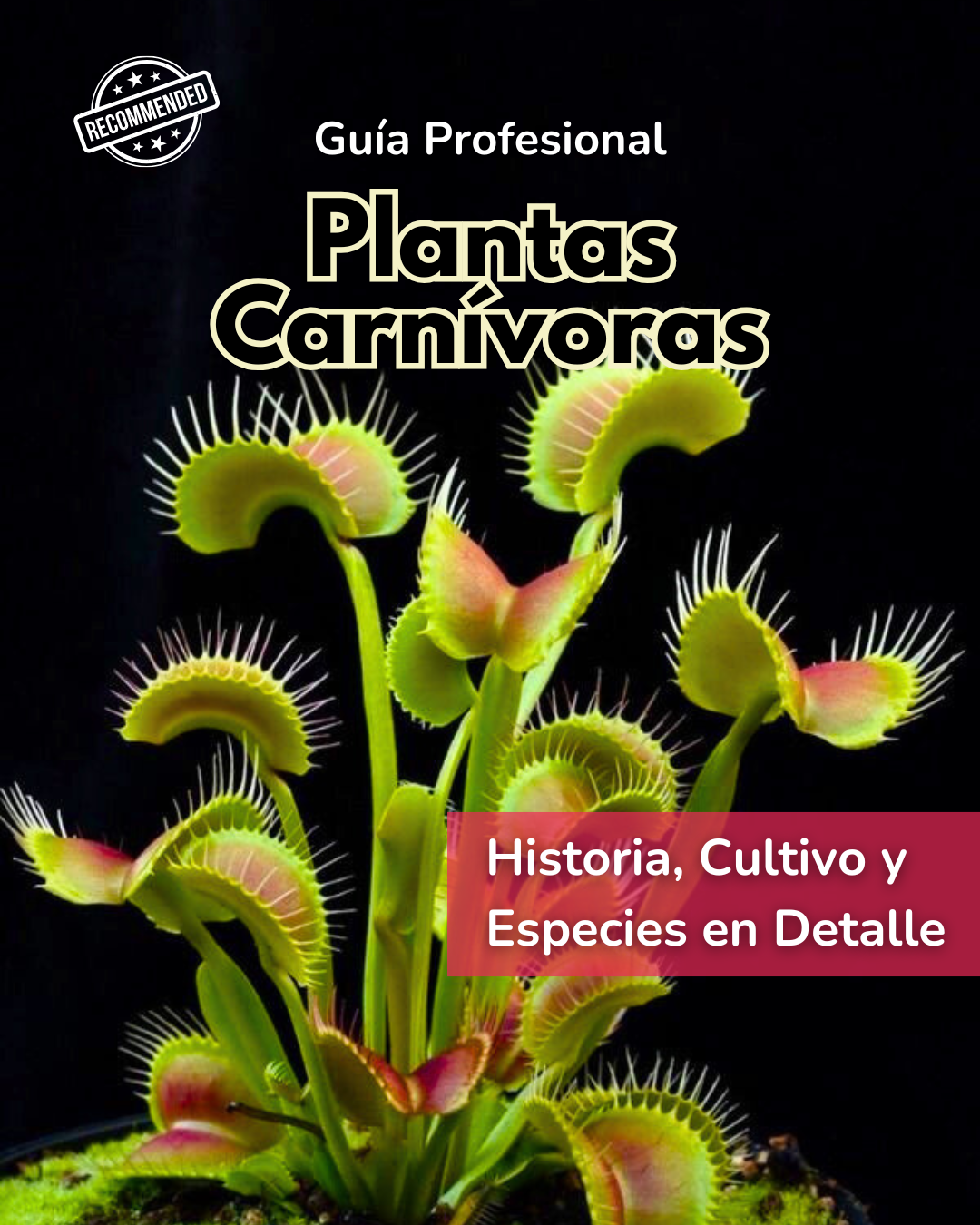 Guía Profesional: Plantas Carnivoras